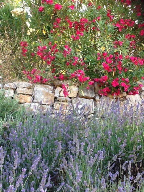 L'Oustaou B&B Piscine & Spa Besse-sur-Issole Exterior photo